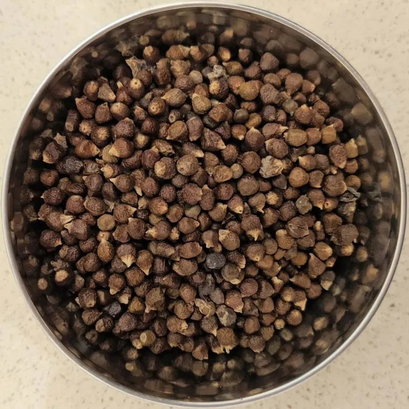 Grains of Paradise