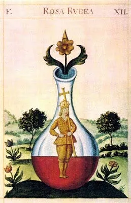 A 'homunculus' in an alchemical flask, from the 'Rosa Rubea' (12th stage of the alchemical process).