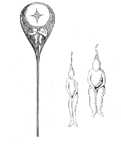 Alchemical illustration from a Paracelsian manuscript.