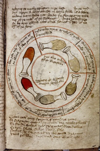 A detailed manuscript illustration demonstrating how medieval physicians interpreted urine colours to diagnose illnesses. (Bodleian Library, MS Digby 29, f. 129r)